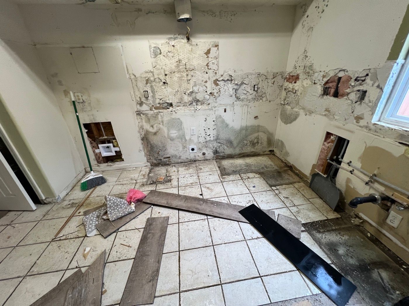 Kitchen walls with visible growth after cabinets and flooring were removed