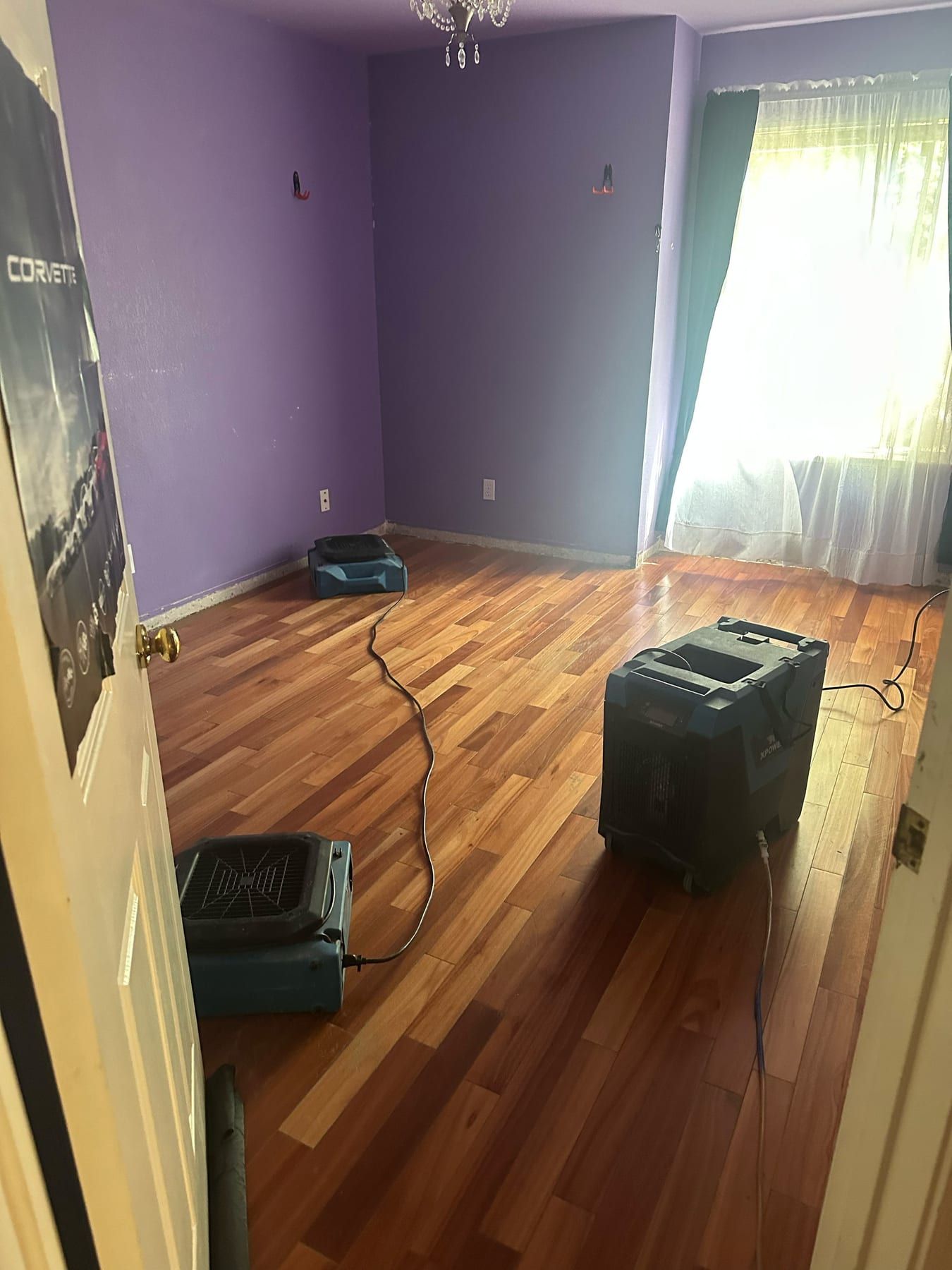 Two air movers and a dehumidifier running on a hardwood floor in a purple-walled bedroom with a poster on the door.